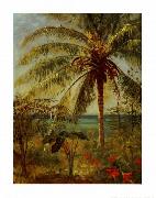 Albert Bierstadt Palm Tree, Nassau by Albert Bierstadt oil on canvas